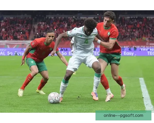 2025非洲杯最终确定摩洛哥承办全面备战赛事筹备工作展开